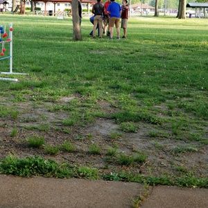 Meet your Posher, Renee